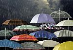 Umbrellas Under Raindrops Stock Photo