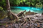 Unseen Blue Pool In Forest Stock Photo