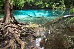 Unseen Blue Pool In Forest Stock Photo