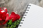 Valentines Day Background. Valentine Hearts With Open Blank Note Stock Photo