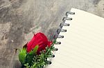 Valentines Day Background. Valentine Hearts With Open Blank Note Stock Photo