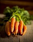 Vegetables Carrots Stock Photo
