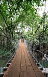 Vertical Wooden Suspension Bridge Cross Small River To House Stock Photo