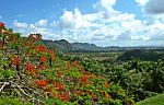 Vinales Valley Stock Photo