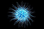 Virus Stock Photo