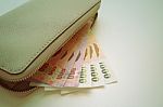 Wallet With Banknotes Stock Photo
