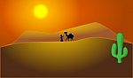 Wanderer Lead Camel Across The Desert Stock Photo