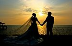Wedding Couple At Sunset Stock Photo