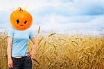 Wheat Field With Girl Wearing Pumpkin Stock Photo