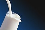 White Milk In Glass Stock Photo