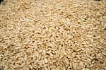 Whole Grain Japanese Rice Stock Photo
