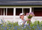 Elderly Smiling Woman Picking Flowers Stock Photo