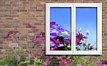 Window And Flowers Stock Photo