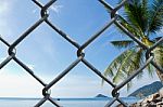 Wire Mesh On Seaview Background Stock Photo