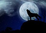 Wolf And Moon Stock Photo