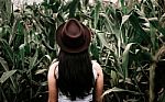 Woman In Corn Field Stock Photo