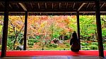 Woman In Enkoji Temple Enjoys Autumn Garden Stock Photo