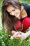 Woman In Park Gather Spring Flowers Stock Photo