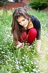 Woman In Park Gather Spring Flowers Stock Photo