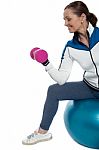 Woman On Swiss Ball Working Out With Dumbbells Stock Photo