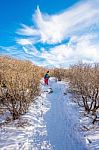 Woman Walking On Trail With Snow In Mountains Stock Photo