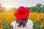 Woman Wearing A Red Hat In A Field Of Flowers Stock Photo