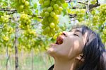 Women Eating Green Grapes In Vineyard Stock Photo