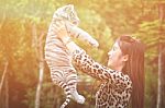 Women Hold Baby White Bengal Tiger Stock Photo