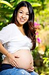 Wonderful Pregnant Woman Stock Photo