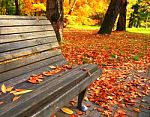 Wood Bench On Autumn Park Stock Photo