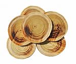Wood Slices Stock Photo