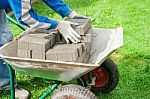 Worker Puts Paving Stabs Tile In A Wheelbarrow Stock Photo