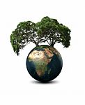 Worldtree Stock Photo