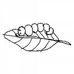 Worm On A Leaf Doodle Hand Drawn Stock Photo