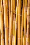Yellow Bamboo Stock Photo