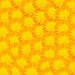 Yellow Flowers Background Stock Photo