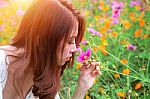 Young Beautiful Woman Smells A Flower Stock Photo