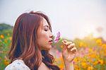 Young Beautiful Woman Smells A Flower Stock Photo