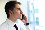 Young Businessman Using His Mobile Phone In Office Stock Photo