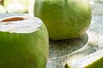 Young Coconuts Stock Photo