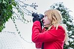 Young Dutch Woman Photographing Snow On Branches Stock Photo