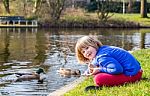 Young Girl Feeding Ducks With Bread Stock Photo