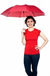 Young Pretty Woman With An Umbrella Stock Photo