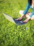 Young Woman Using Laptop In Park Stock Photo