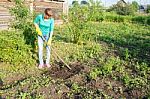 Young Woman Weeding Potato Sprouts Using Hoes Stock Photo