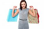 Youngg Woman With Shopping Bags Stock Photo
